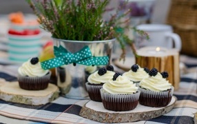 Cupcakes with cream and blackberries
