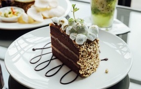 Кусок шоколадного торта с маршмеллоу на белой  тарелке