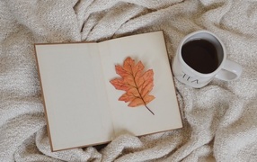 Книга, желтый лист и чашка кофе с пледом