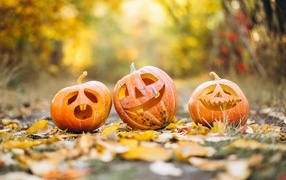 Three Halloween pumpkins on the ground