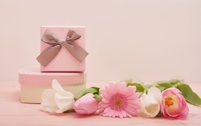 Bouquet and gifts on a pink background for International Women's Day