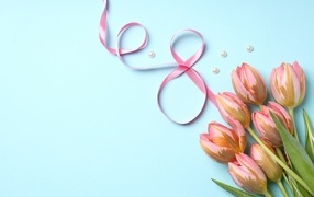 Bouquet of pink tulips and a ribbon on a blue background for March 8