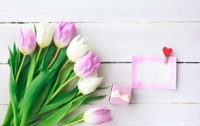 Bouquet of pink tulips and postcard for March 8
