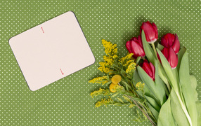 Bouquet of tulips and mimosa greeting card template for March 8