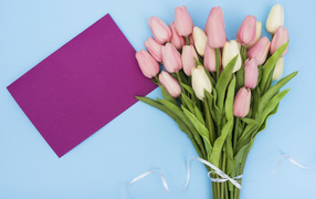 Bouquet of tulips on a blue background greeting card template for March 8