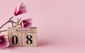 Cubes and flowers on a branch on a pink background for March 8
