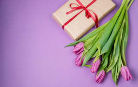 Gift and bouquet of beautiful tulips on a lilac background