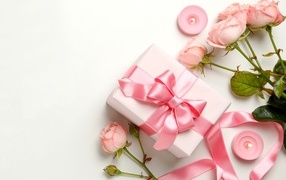 Розовые розы с подарком на белом фоне,  шаблон для открытки на 8 марта