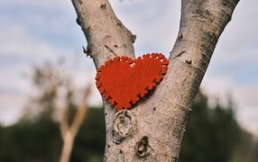Red heart hanging on a tree