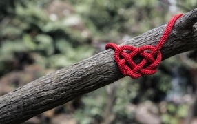 Red heart made of rope on a tree