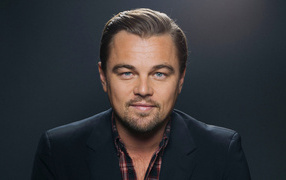 Popular actor Leonardo DiCaprio on a gray background