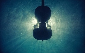 The violin lies in the water