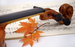 Violin on the table with leaves and notes