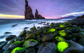 Large black stones lie on the coast of Madeira Island