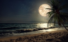 Big yellow moon over tropical beach