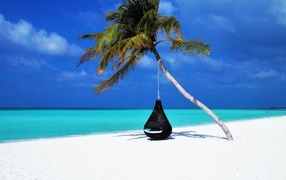 Black hanging chair on a palm tree on a tropical beach