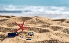 Red starfish and toys on the sand by the sea in summer
