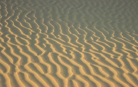 Waves on hot sand in the desert