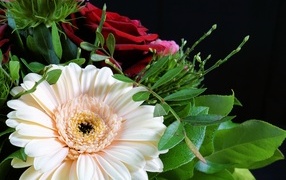 Gerbera flower in a bouquet with red roses