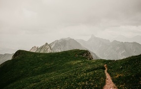 Path in the mountains covered with green grass