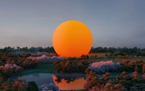orange sun in nature