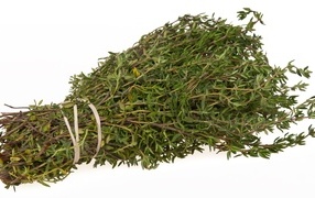 A bunch of rosemary leaves on a white background