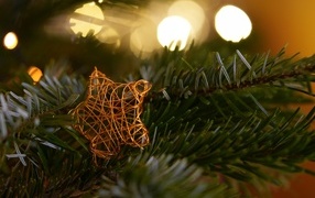The star lies on a green spruce branch
