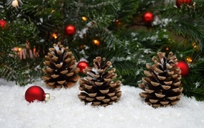 Three big cones in the snow under a spruce