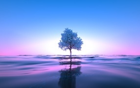 A tree grows in water against the sky