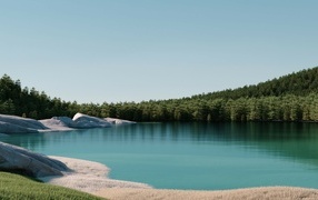 Calm lake with green forest