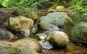 Большие мокрые камни лежат в лесной реке