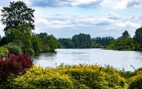 Тихая вода озера у парка летом