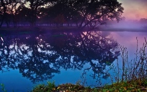 Trees reflected in lake water at dusk