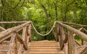 Деревянный мост в летнем парке