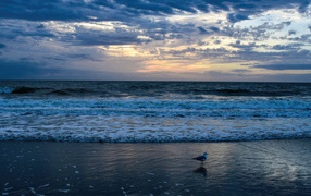 White waves envelop the seashore at dawn