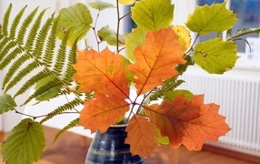 Ветки с листьями в вазе осенью 