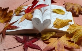 Love book with fallen leaves