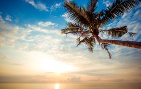 Dawn of the bright summer sun on a tropical beach