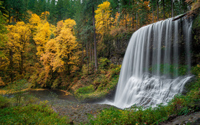 Fast cold waterfall in the autumn forest