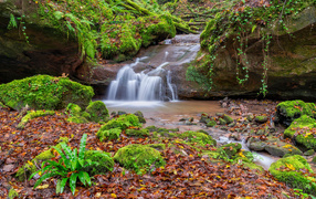 Small waterfall in the forest with moss-covered stones