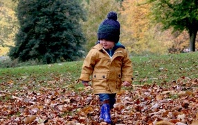 Маленький мальчик идет по сухой листве в парке