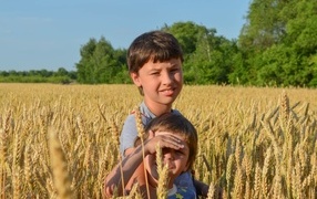 Маленькие дети на поле пшеницы