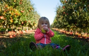 Маленькая девочка грызет яблоко в саду