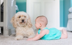 Маленькая девочка с собакой в комнате