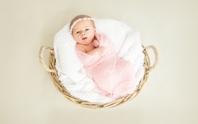 Newborn baby in a basket in a pink blanket