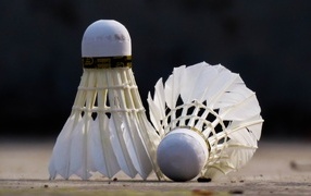 Two white shuttlecocks for playing badminton