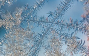 Beautiful frosty pattern on blue glass