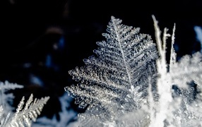 Beautiful ice snowflake patterns