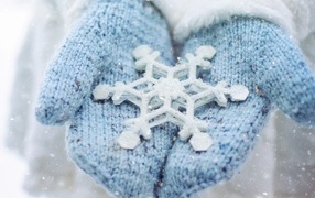 Blue mittens on hands with a white snowflake