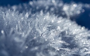 Cold ice crystals of snow in winter